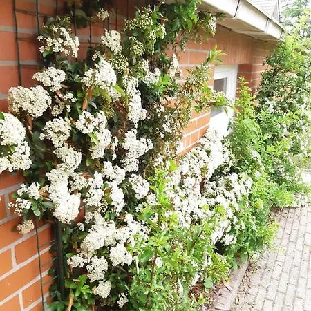 Monteurzimmer Vakantiehuis De Groene Serre * Bunde (Lower Saxony)